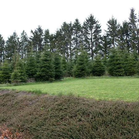 Charming In Neuastenberg With Garden Winterberg
